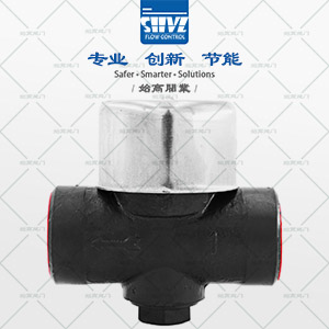 CS19H(dng)APʽˮyD1