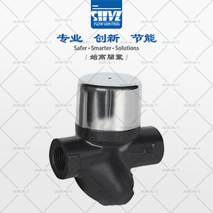 CS19APʽˮyD1